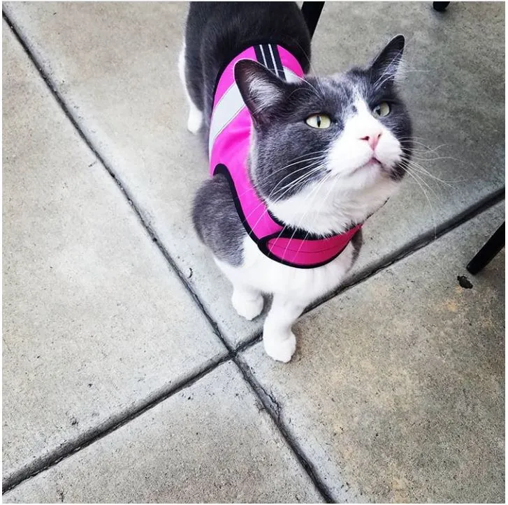 Custom Kitty Holster Reflective Safety Vest (Made in USA)