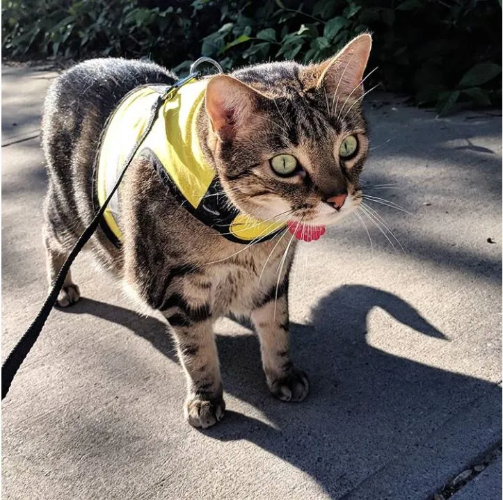 Custom Kitty Holster Reflective Safety Vest (Made in USA)