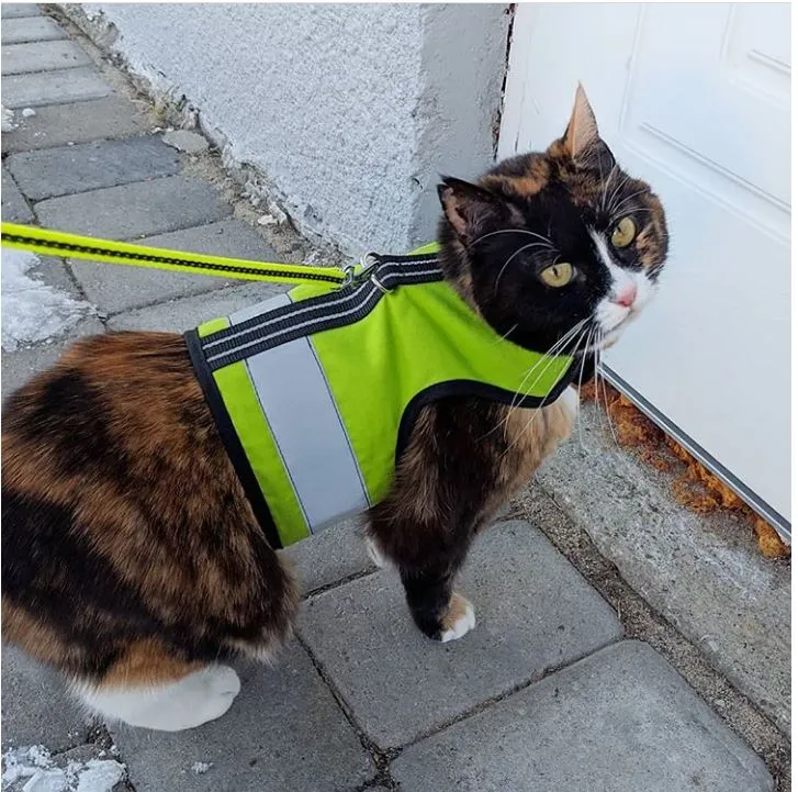 Custom Kitty Holster Reflective Safety Vest (Made in USA)