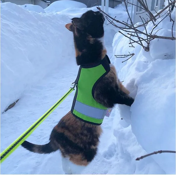 Custom Kitty Holster Reflective Safety Vest (Made in USA)