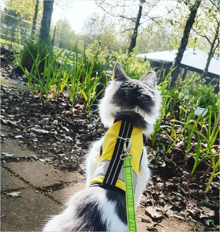 Custom Kitty Holster Reflective Safety Vest (Made in USA)