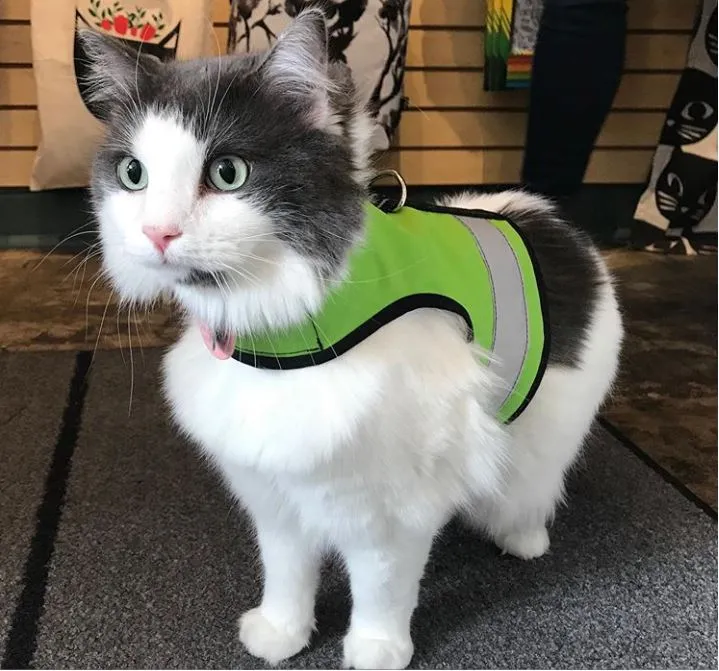 Custom Kitty Holster Reflective Safety Vest (Made in USA)