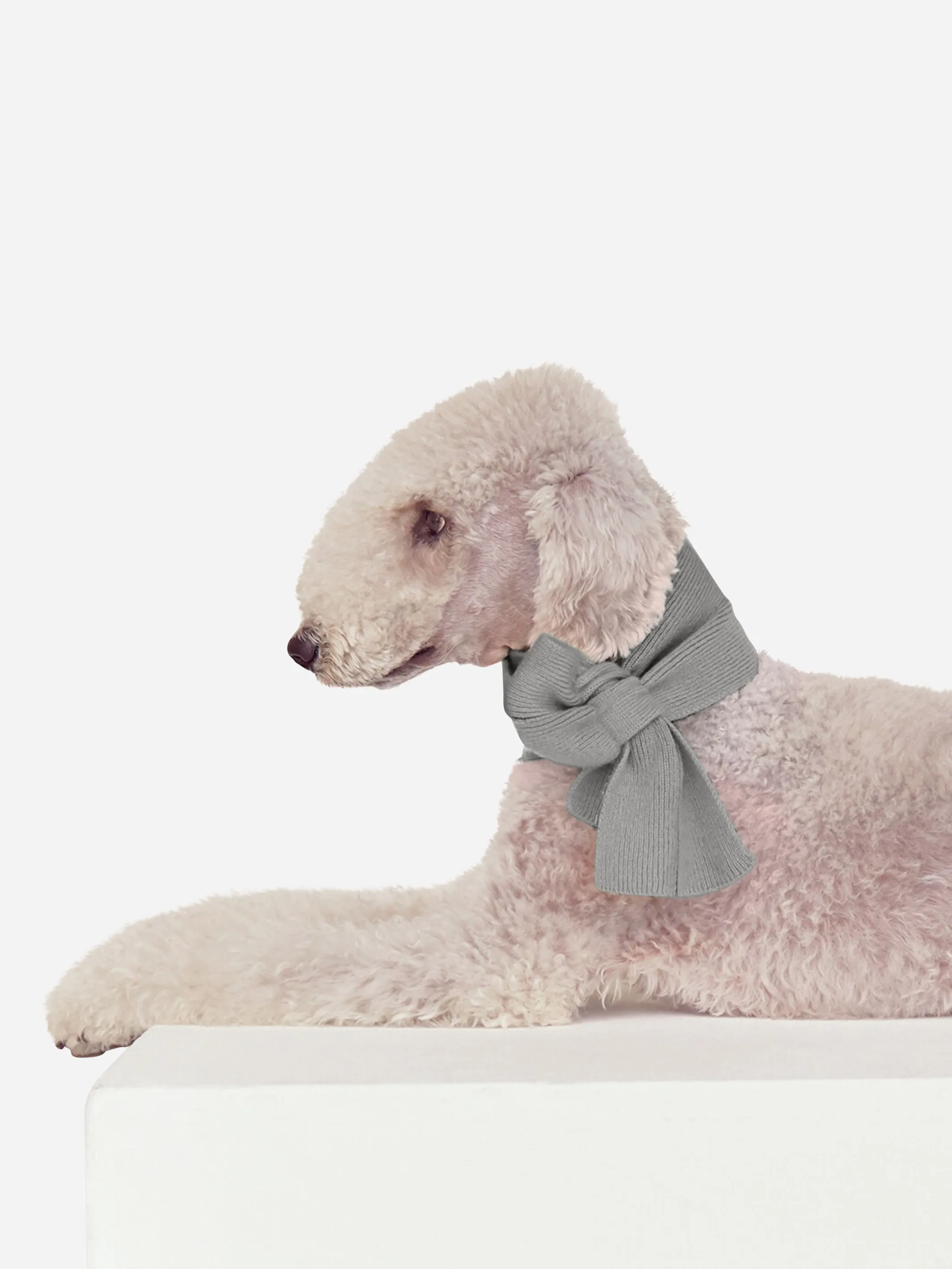 DOG SCARF GREY