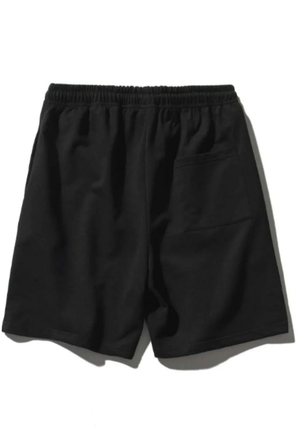 Drawstring Waist Track Shorts